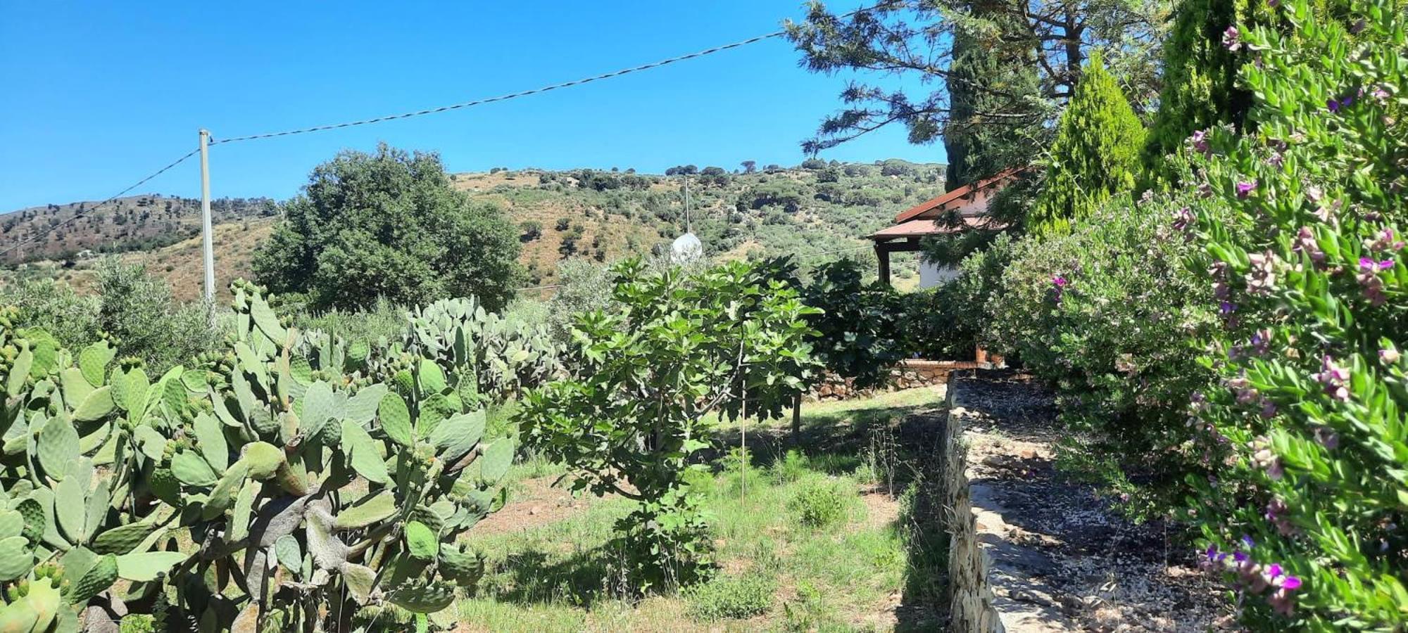 Villa Al Presti, Vacanze In Pieno Relax Cefalú Exterior foto